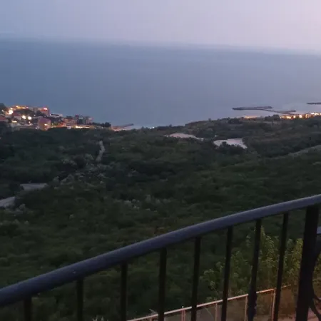 Blacksea فيلة توبولا